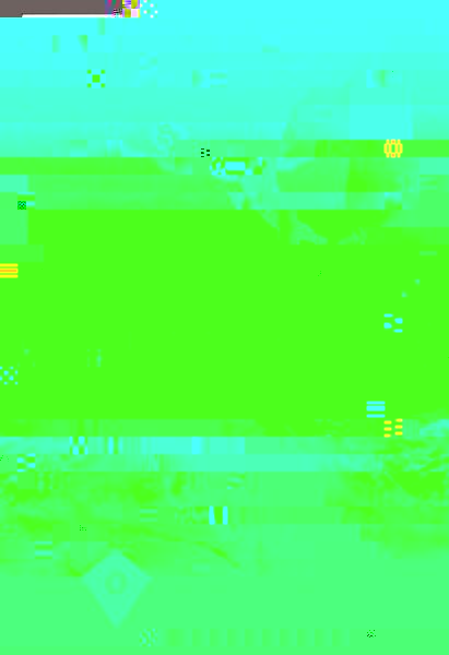 tz0021.jpg